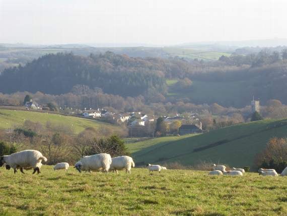 Staverton Neighbourhood Plan passes by a landslide