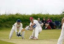 Westlake innings not enough as Kings lose