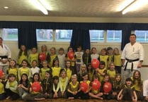Brownies learn karate for Sport Relief