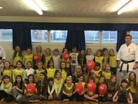 Brownies learn karate for Sport Relief
