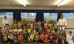 Brownies learn karate for Sport Relief