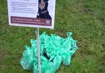 Church 'abused' by irresponsible dog owners with problem areas across Kingsbridge and Salcombe