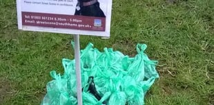 Church 'abused' by irresponsible dog owners with problem areas across Kingsbridge and Salcombe