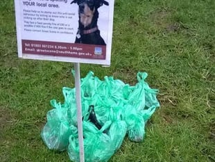 Church 'abused' by irresponsible dog owners with problem areas across Kingsbridge and Salcombe