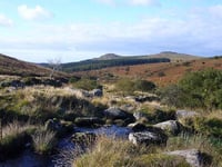 'Follow the Sun' - Sponsored walk for Saltstone Caring across Dartmoor in July