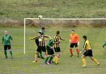 Premier Division Ivybridge Town too strong despite brave Bees' best efforts