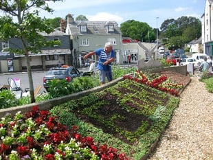 Kingsbridge In Bloom win Gold in Champion of Champions class