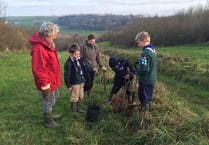 Kingsbridge Scouts plant trees to mark centenary of cub scout movement