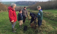 Kingsbridge Scouts plant trees to mark centenary of cub scout movement