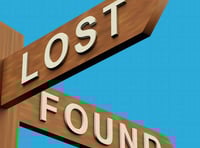 Necklace found in East Portlemouth - is it yours?