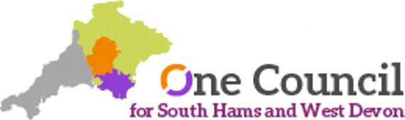 One Council open for consultation - public's views sought on marriage of South Hams District Council and West Devon Borough Council