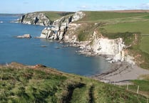 'Snakes, smugglers and seaweed' at Ayrmer Cove with Dangerous Dads
