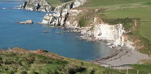 'Snakes, smugglers and seaweed' at Ayrmer Cove with Dangerous Dads