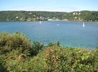 New marine biosecurity plan encourages locals to 'take care' of our estuaries