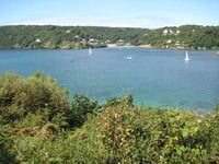 New marine biosecurity plan encourages locals to 'take care' of our estuaries