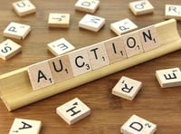 Kingston Auction of Promises and Things