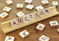 Kingston Auction of Promises and Things