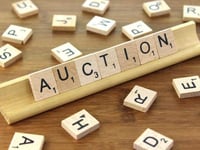 Kingston Auction of Promises and Things