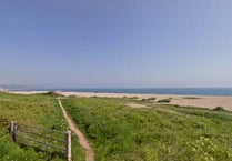 The first South Hams beach clean of the year