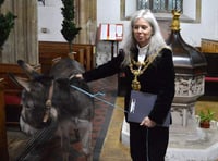 Senior Devon Green Party politician faces donkey welfare charge