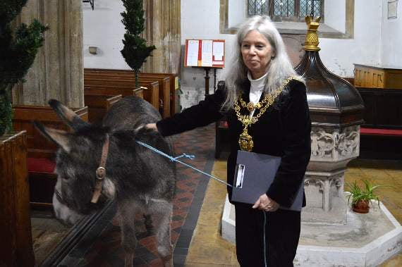 Senior Devon Green Party politician faces donkey welfare charge