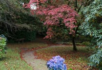 Mansion on the edge of the moor opens its gates for the best of autumn colour this weekend