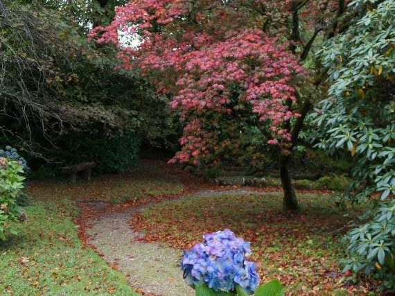 Mansion on the edge of the moor opens its gates for the best of autumn colour this weekend