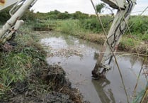 Conservation project finishes final stage