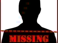 Man missing from Ivybridge