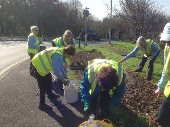 Kingsbridge In Bloom volunteers start summer planting ahead of judging