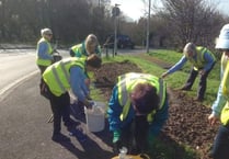Kingsbridge In Bloom volunteers start summer planting ahead of judging