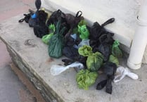 South Hams District Council disposes of dog waste bins