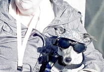 Jaxs, the dog with sunglasses, has died