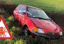 Driver who crashed 'swerved to avoid octopus'
