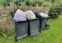 Council opposition lash out at recycling 'shambles'