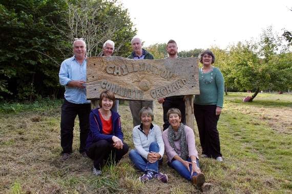 Chilli Wood Voles in search for volunteers
