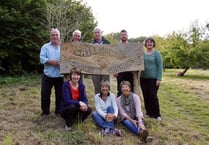 Chilli Wood Voles in search for volunteers