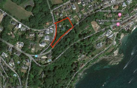 SHDC cracks down on tree vandals