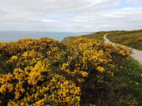 AONB to run a series of walks for people aged 55+