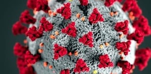 No virus deaths in South Hams this week