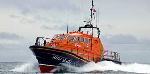 Coastguard and RNLI rescue dog fallen from cliffs