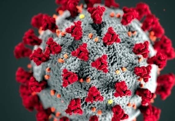 County vaccine rollout continues apace
