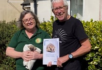 Campaigners set to protect hedgehogs on roads