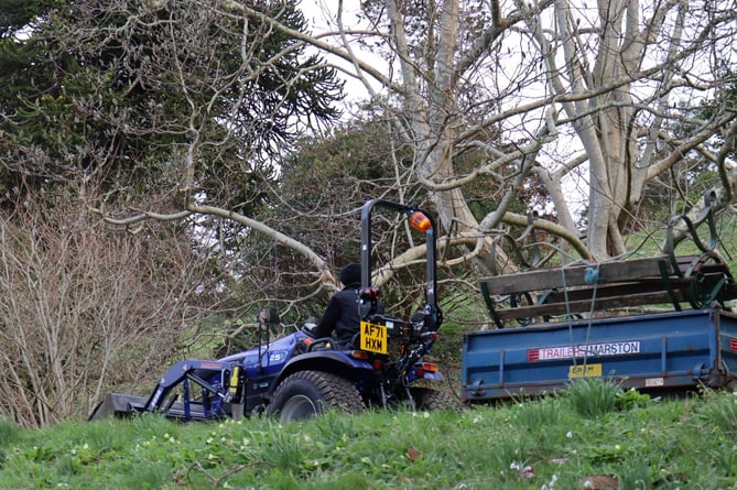 National Trust gardener Ben Scott with the new eco-friendly tractor