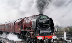 Train enthusiasts are in for a treat in the coming weeks 