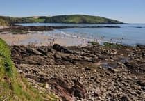 Join Wembury's pavilion and cafe Initiative