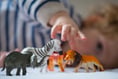 Foster Care Fortnight: Hundreds of children find new homes in Devon