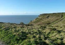 A chance to visit a Bolberry dig