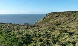 A chance to visit a Bolberry dig