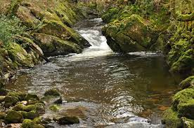 River Erme workshop